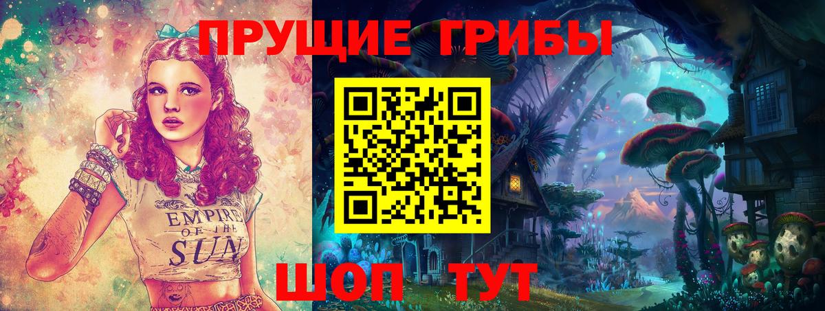 Галлюциногенные грибы Psilocybe Арзамас